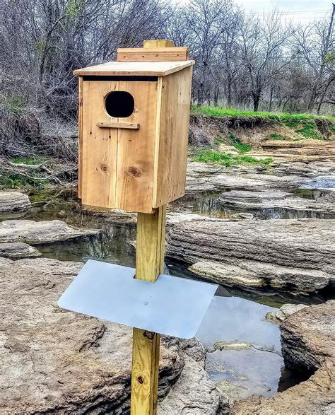 metal skirt below wood duck box|duck nest box.